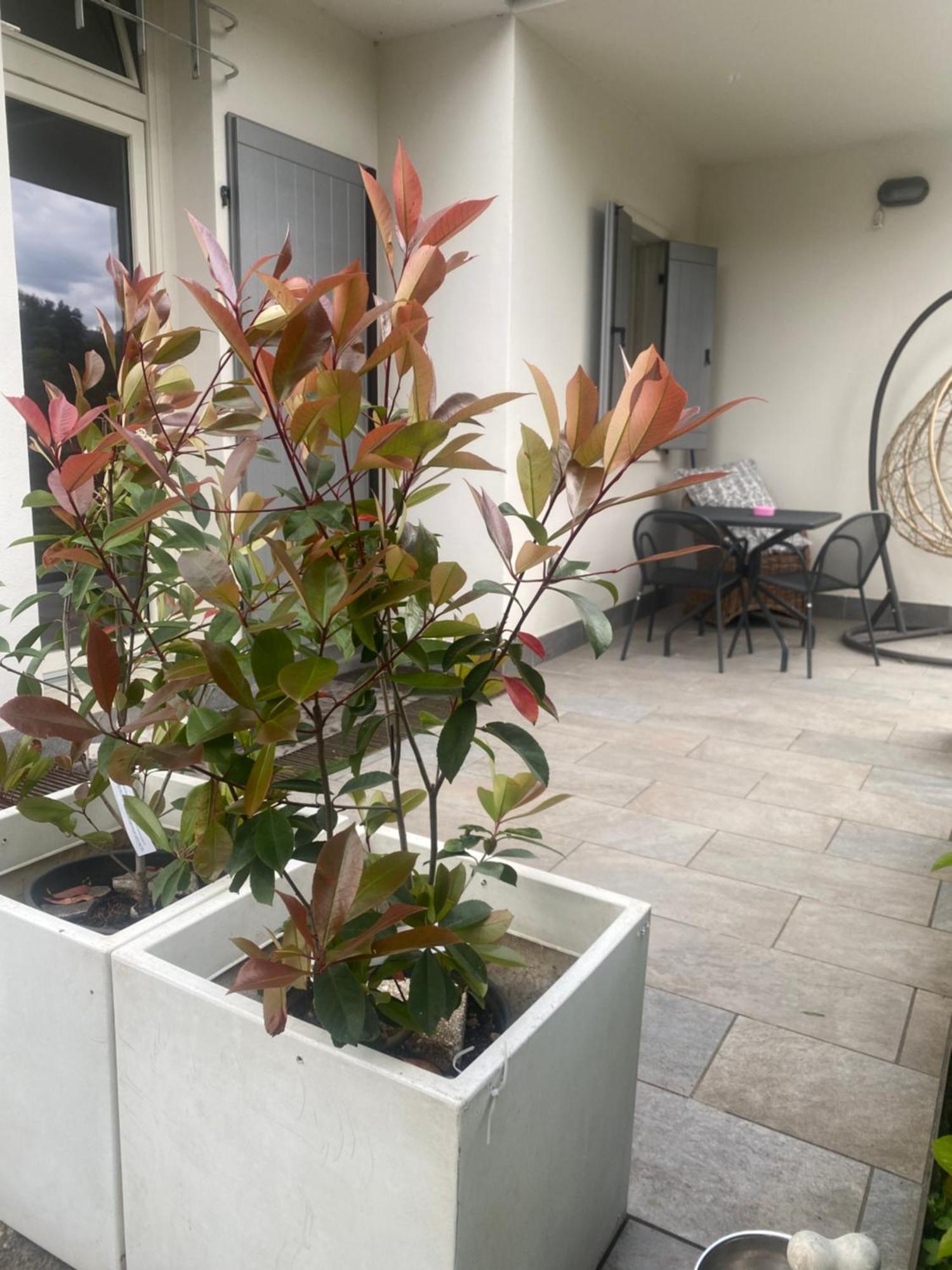 מאלצ'סינה Apartment Lake View מראה חיצוני תמונה